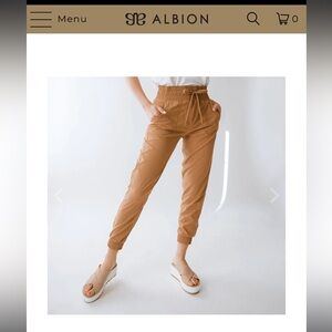 Albion DESTINATION JOGGERS, SAND